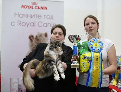 �������� ����� '���-�����-������' 11-12 ������ 2015 6-33-169A4798 copy.jpg